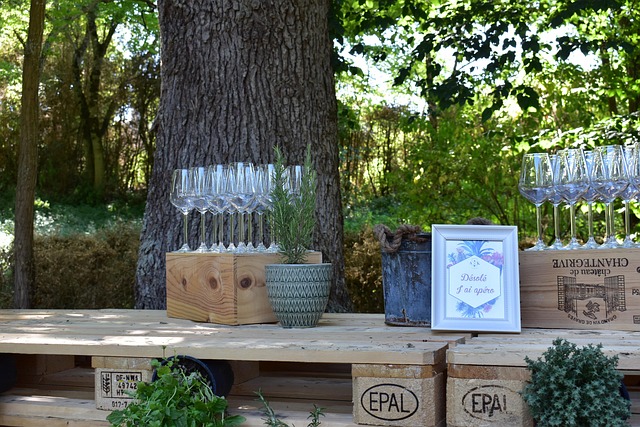 Free Aperitif Relaxation photo and picture