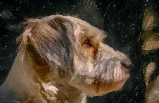 Free Dog Looks illustration and picture