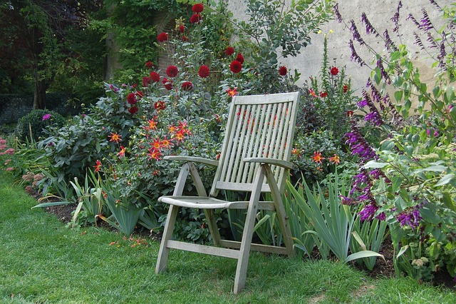 Free Chair Solitary photo and picture