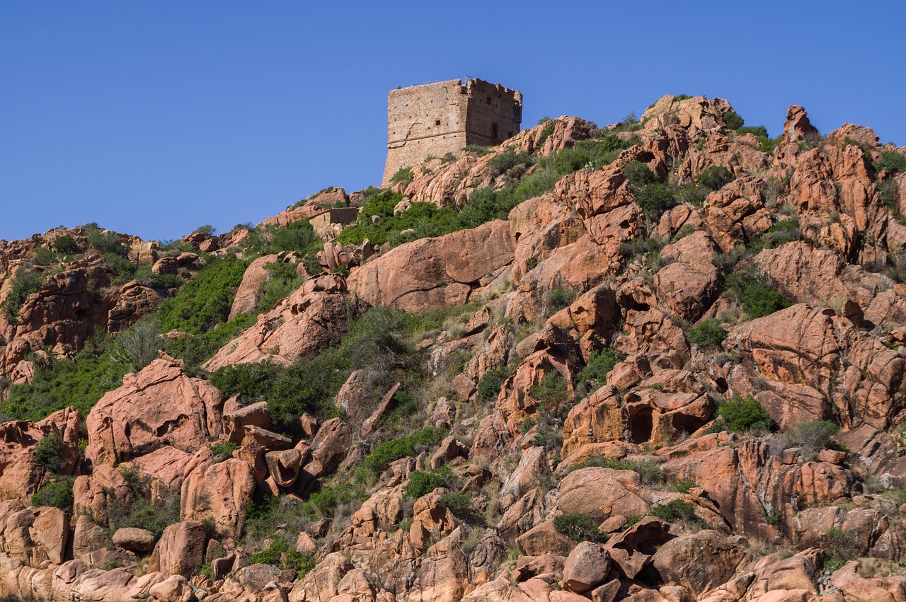 Duvar Resmi Corse - Porto - Tur génoise dans les Calanches