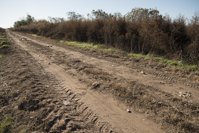 Free Trash Contamination photo and picture