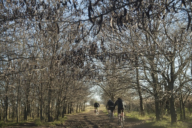 Free Cyclists Adventure photo and picture