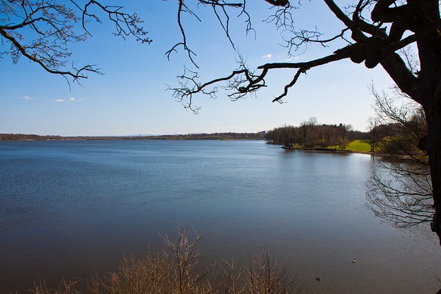 Free Pond Water photo and picture
