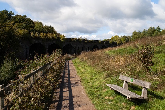 Free Bench Path photo and picture