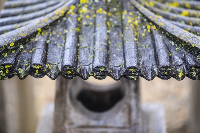 kőlámpás, japanese kőlámpás, lichen, japanese garden, nature, japanese mood, garden, top