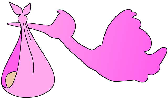 Free Stork Baby illustration and picture