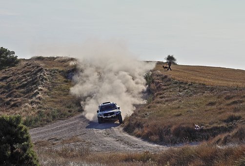 Corrida, Carros, Rali, Carro, Veículo