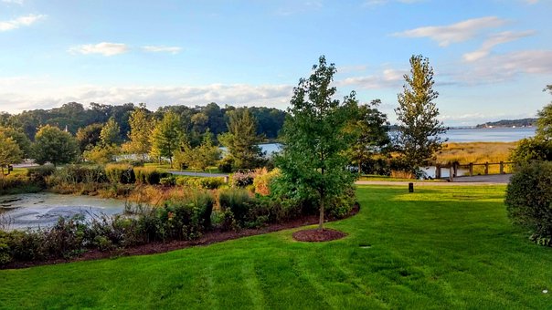 Tuin, Gazon, Baai, Water, Haven, Vijver