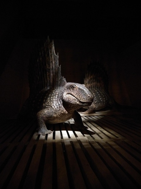 Free Lizard Prehistoric photo and picture