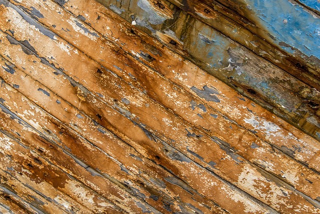 Free Texture Boat photo and picture