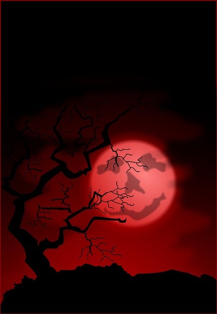 Halloween, Halloween-Plakat, Hintergrund