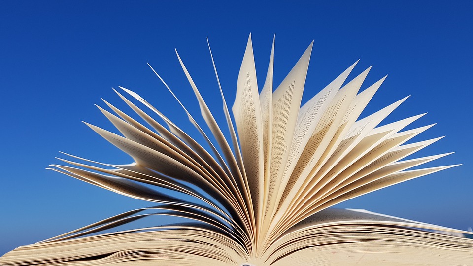 Book Wisdom Education - Free photo on Pixabay