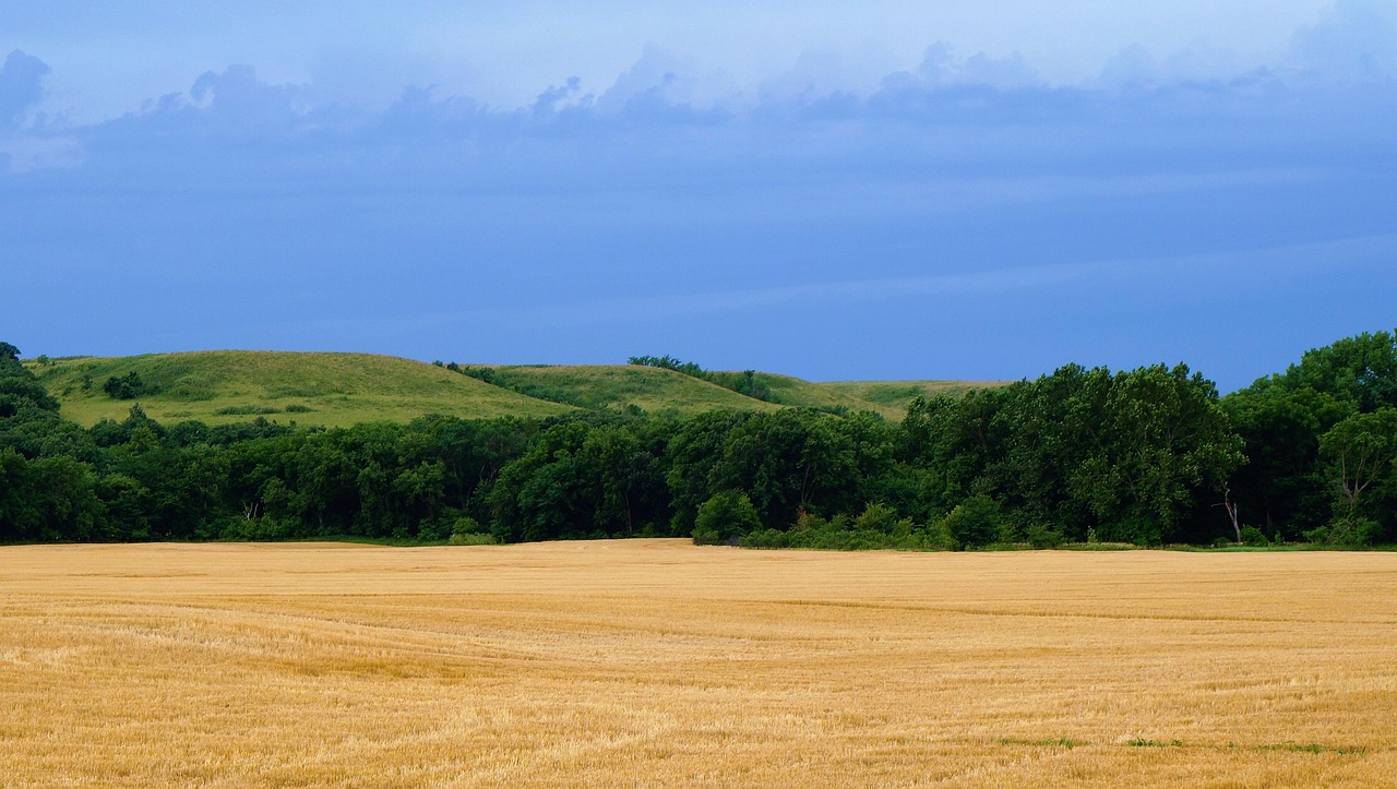 100+ Free Kansas & Kansas City Images - Pixabay