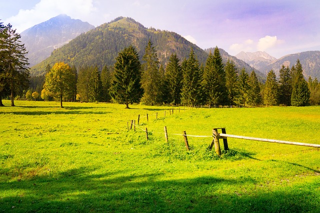Free Meadow Mountain photo and picture