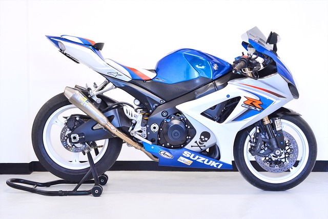 Free Suzuki Rider photo and picture
