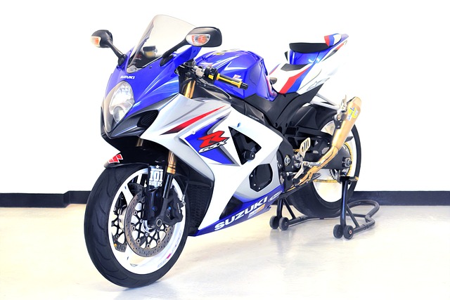 Free Suzuki Rider photo and picture