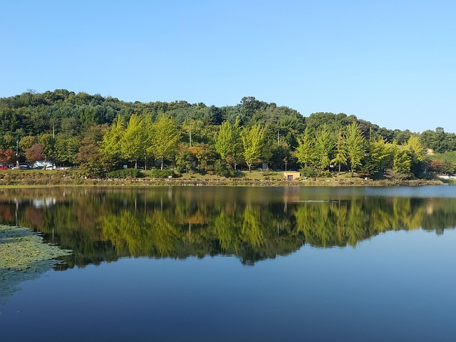 Free Lake Water photo and picture