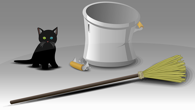 Free black cat kitty little cat vector