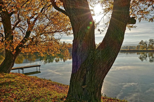 Free Autumn Mood Mill Pond photo and picture