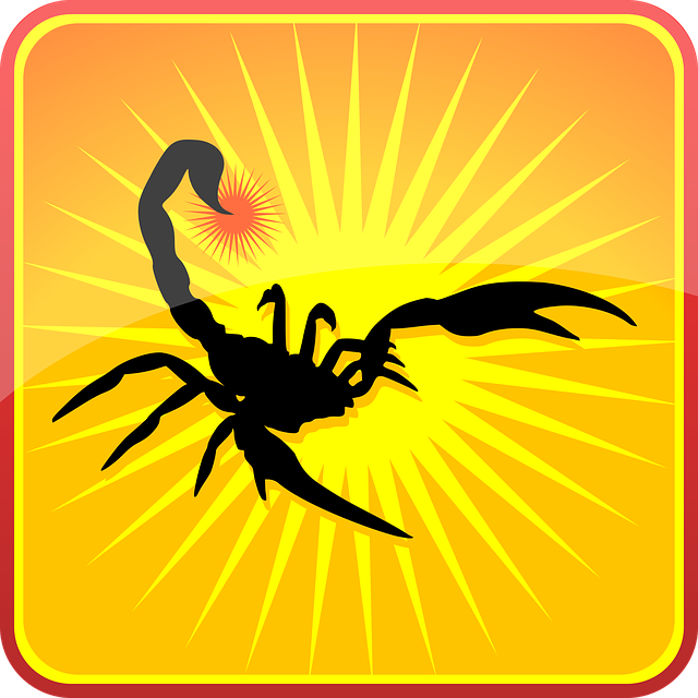 Free scorpion silhouette insects vector
