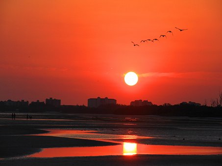 Free Sunset Nature photo and picture