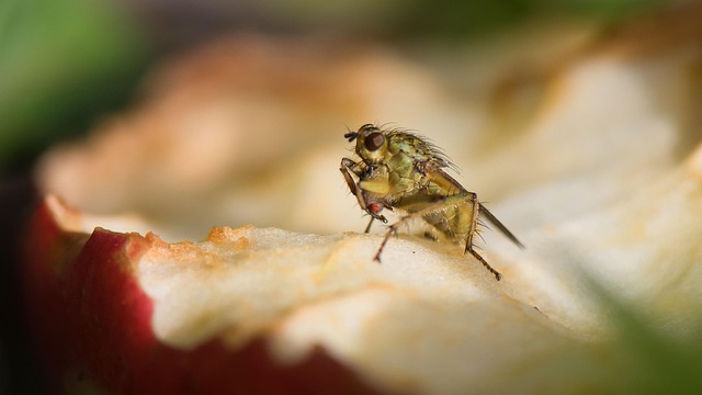 Free Bert Veerman Nature photo and picture