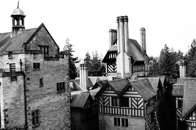 Free Gothic Castle photo and picture