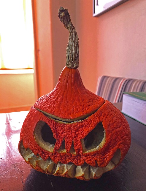Dýně, Squash, Podzim