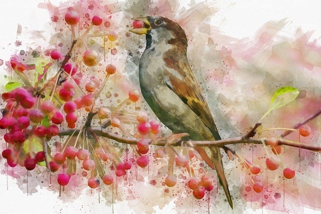 Free bird autumn fall illustration
