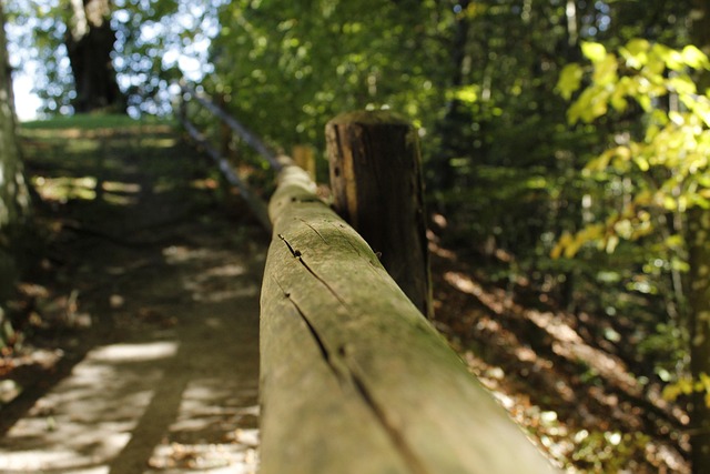 Free Fence Close Up photo and picture