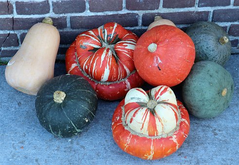 Free Pumpkin Deco photo and picture