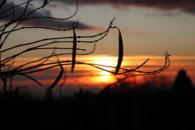 Sonnenaufgang, Sunrise, Himmel, Natur