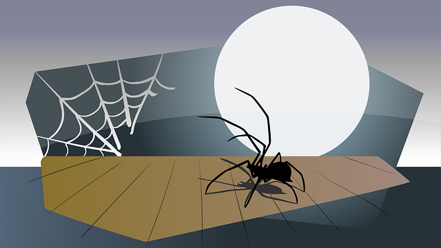 Free spider silhouette insects vector