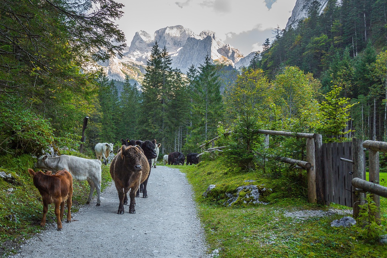 Alps - free online jigsaw puzzle photo