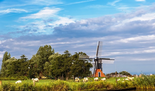 Free Wind Mill Landscape photo and picture