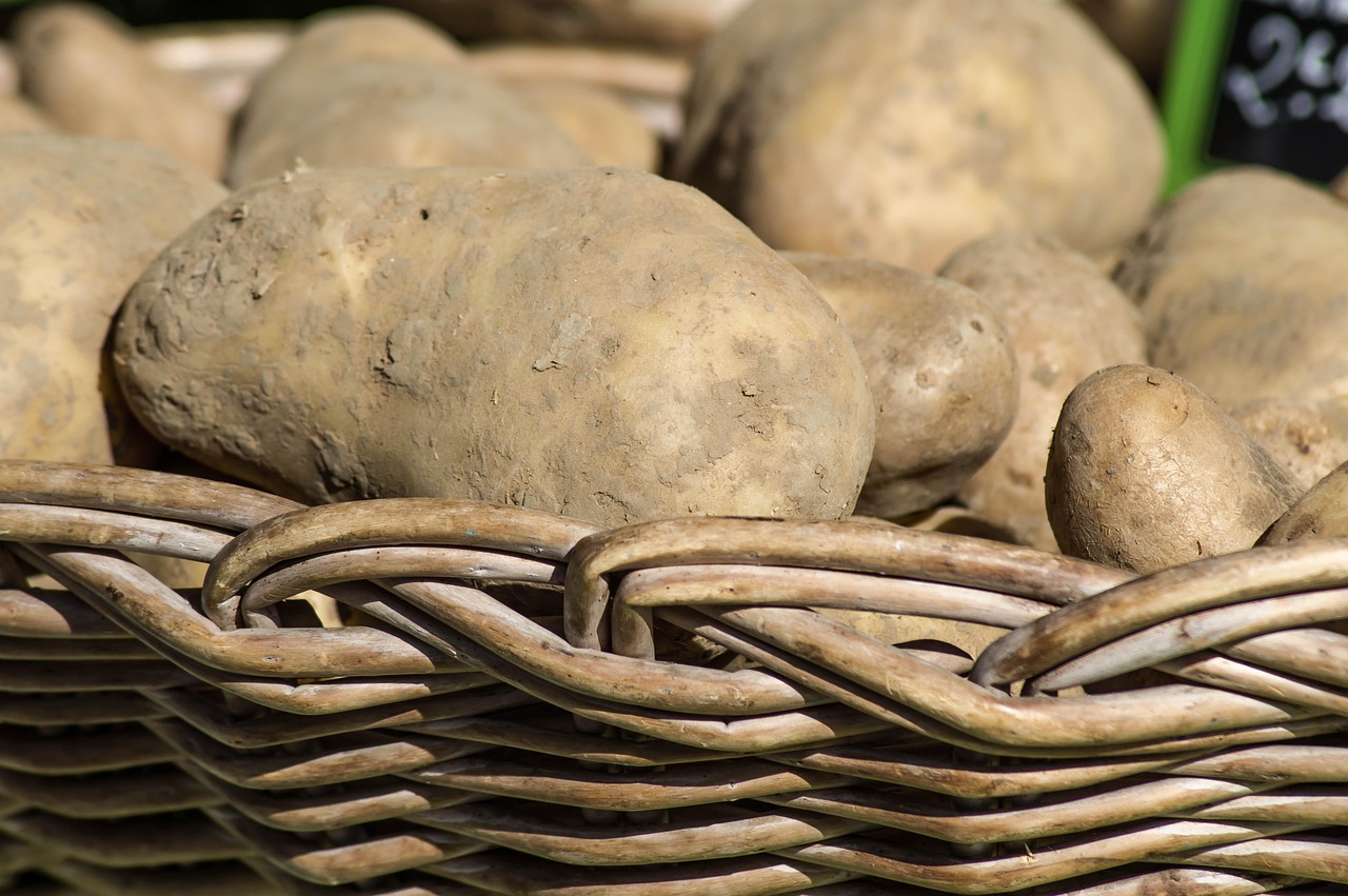 Potatoes - free online jigsaw puzzle photo