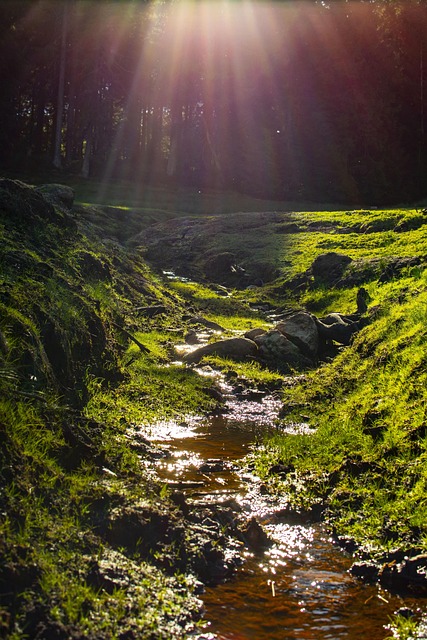 Free Lake Scenic photo and picture