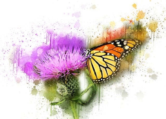 Free butterfly wildlife nature illustration