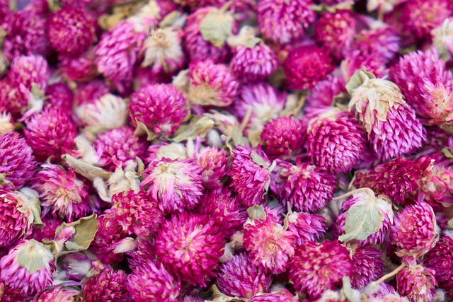 flower, purple, free background, hd wallpaper, tissue, windows wallpaper, mac wallpaper, background, floral background, nature, herb, garden, spring, flora, summer, pink, free wallpaper, colour, macro, 4k wallpaper, zen, cool backgrounds, 4k wallpaper 1920x1080, leaf, wallpaper 4k, beautiful, pattern, beautiful flowers, wallpaper hd, design, laptop wallpaper, decorative, beautiful wallpaper, flower wallpaper, full hd wallpaper, natural, decoration, flower background, botanical, fresh, desktop backgrounds, meditation