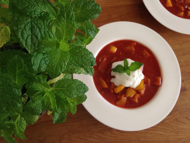 Suppe, Tomat, Basilikum, Sund Og Rask