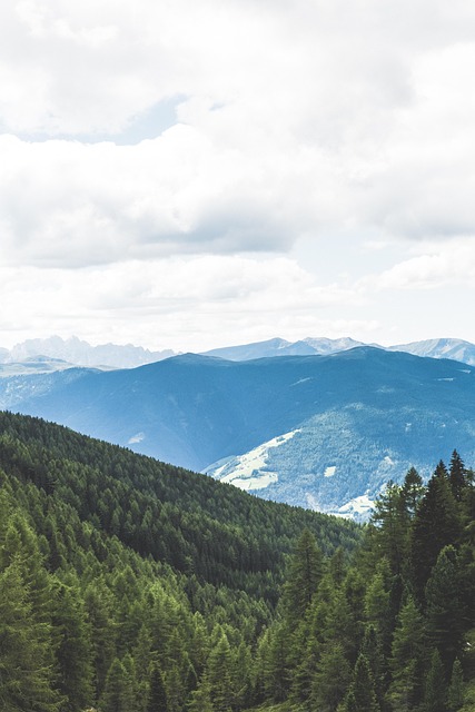 Free Mountain Outlook photo and picture