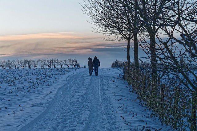 Free Walk Winter photo and picture