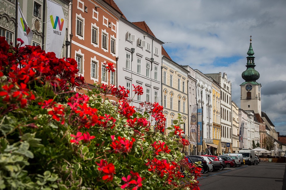 Catfish City Of Wels Austria Free Photo On Pixabay Catfish City Of Wels Austria Free Photo On Pixabay