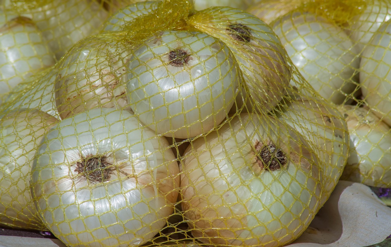 Onions - free online jigsaw puzzle photo