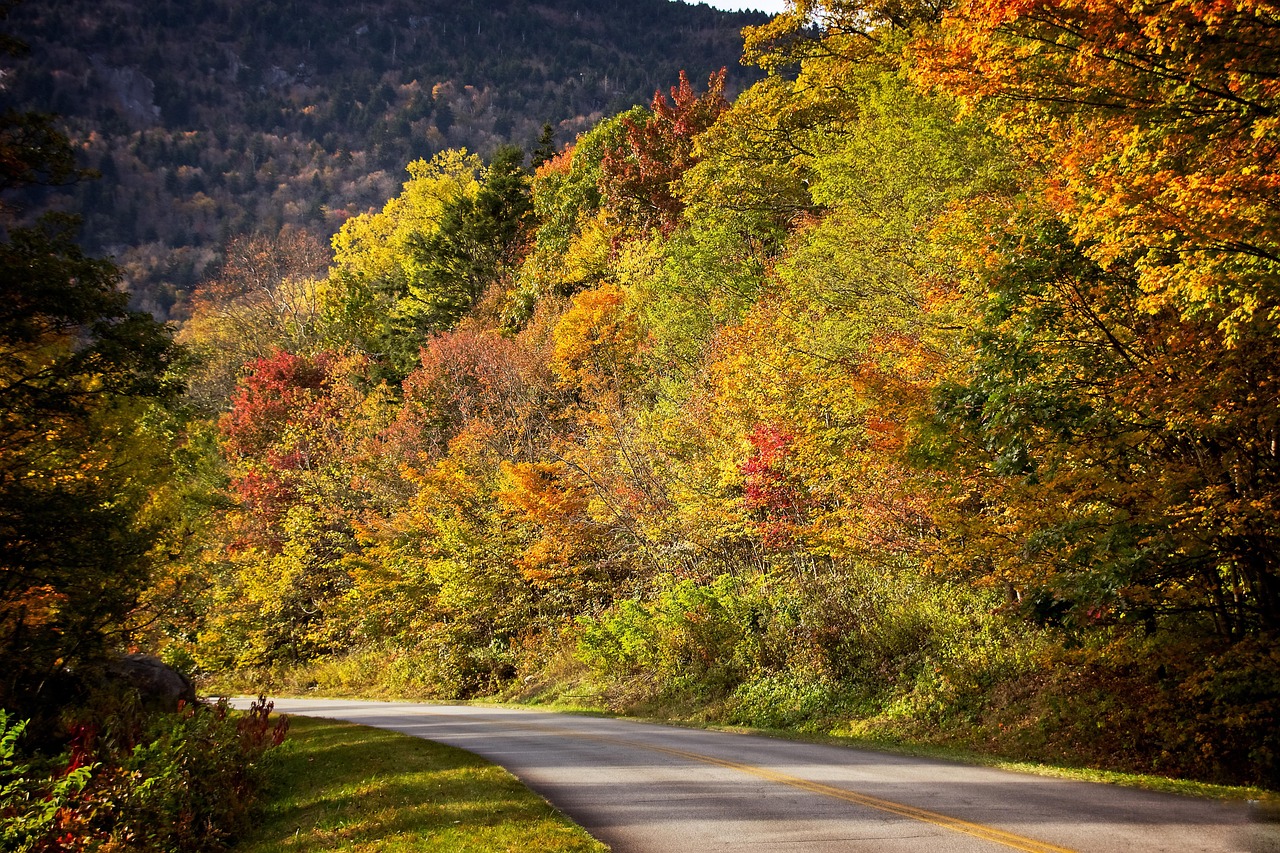 Fall - free online jigsaw puzzle photo