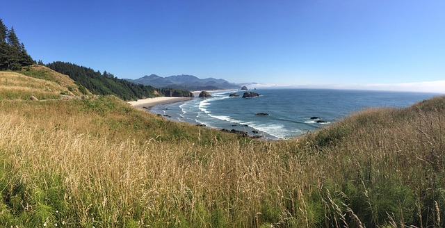 Free Ocean Coast photo and picture