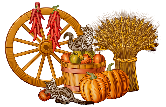 Free autumn cat pumpkin wheat illustration