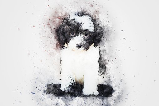 Free Dog Sitting illustration and picture
