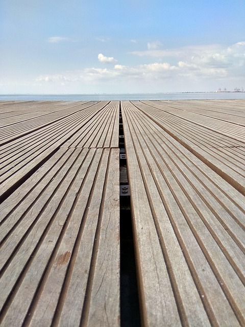 Zee, Strand, Hout, Blauw, Wolken, Lucht