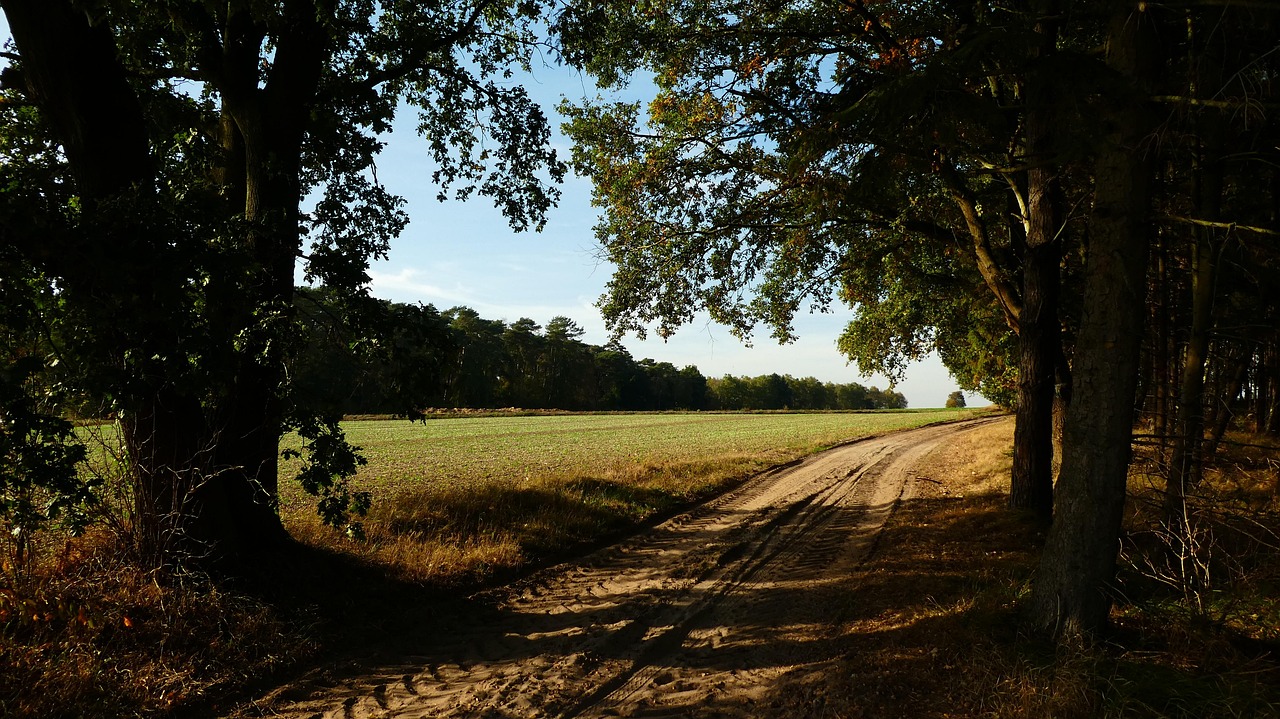 Chemin De Terre La Nature Paysage - Photo gratuite sur Pixabay - Pixabay